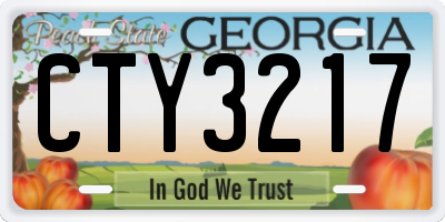 GA license plate CTY3217