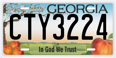 GA license plate CTY3224