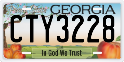 GA license plate CTY3228