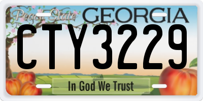 GA license plate CTY3229