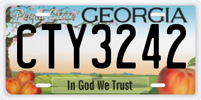 GA license plate CTY3242