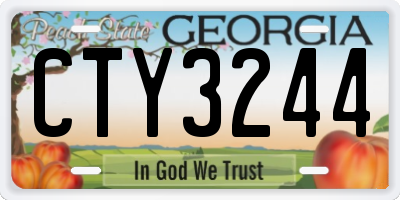 GA license plate CTY3244