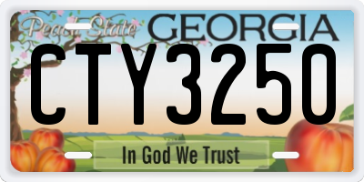 GA license plate CTY3250