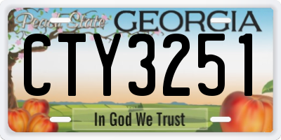 GA license plate CTY3251