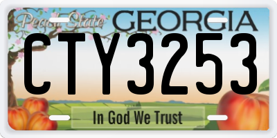 GA license plate CTY3253