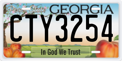GA license plate CTY3254