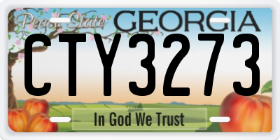 GA license plate CTY3273