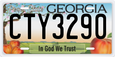 GA license plate CTY3290