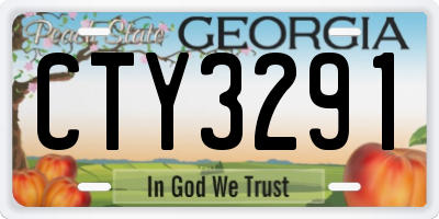 GA license plate CTY3291