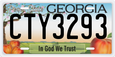 GA license plate CTY3293