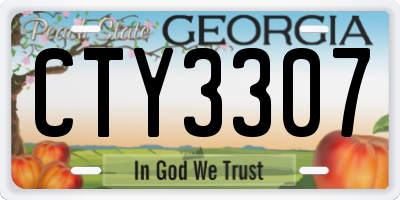 GA license plate CTY3307