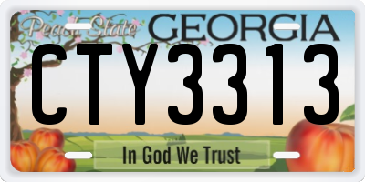 GA license plate CTY3313