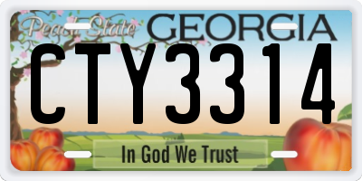 GA license plate CTY3314