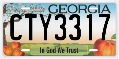 GA license plate CTY3317