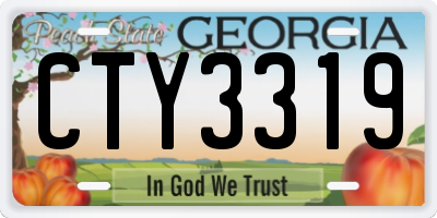 GA license plate CTY3319