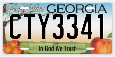 GA license plate CTY3341