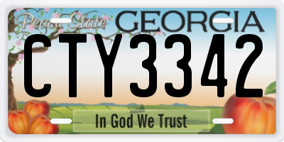 GA license plate CTY3342