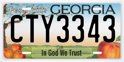 GA license plate CTY3343
