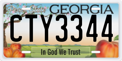GA license plate CTY3344