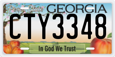 GA license plate CTY3348