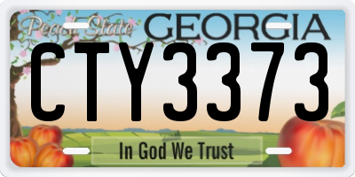 GA license plate CTY3373