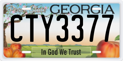 GA license plate CTY3377