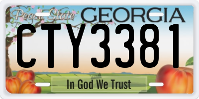 GA license plate CTY3381