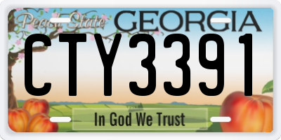 GA license plate CTY3391