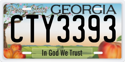 GA license plate CTY3393