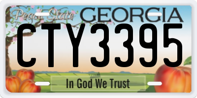 GA license plate CTY3395