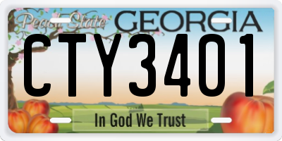 GA license plate CTY3401
