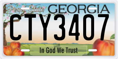 GA license plate CTY3407