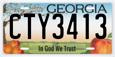 GA license plate CTY3413
