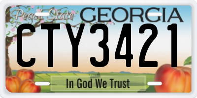 GA license plate CTY3421