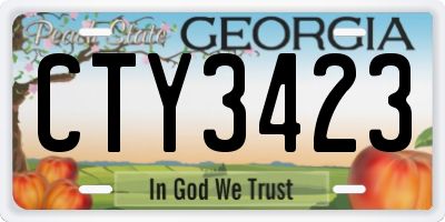 GA license plate CTY3423