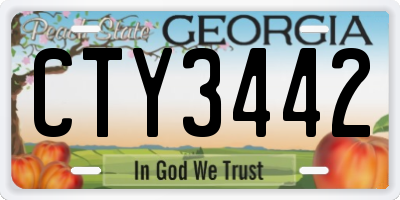 GA license plate CTY3442