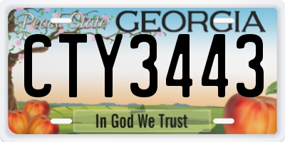 GA license plate CTY3443