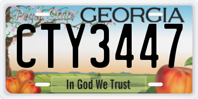 GA license plate CTY3447