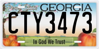 GA license plate CTY3473