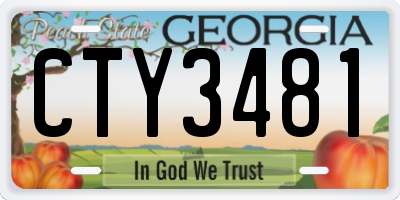 GA license plate CTY3481