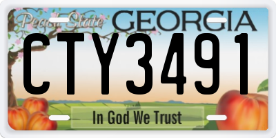 GA license plate CTY3491