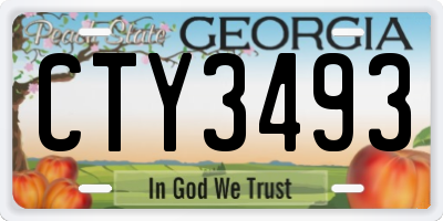 GA license plate CTY3493