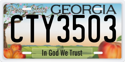 GA license plate CTY3503