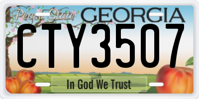 GA license plate CTY3507