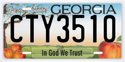 GA license plate CTY3510