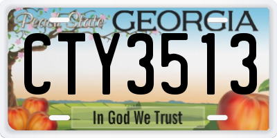 GA license plate CTY3513