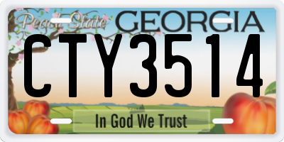 GA license plate CTY3514