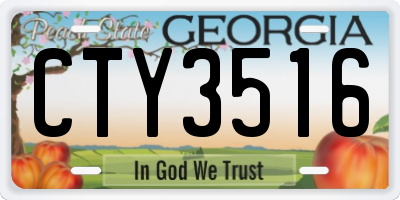 GA license plate CTY3516