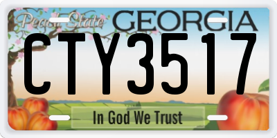 GA license plate CTY3517