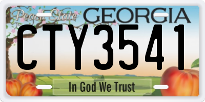GA license plate CTY3541